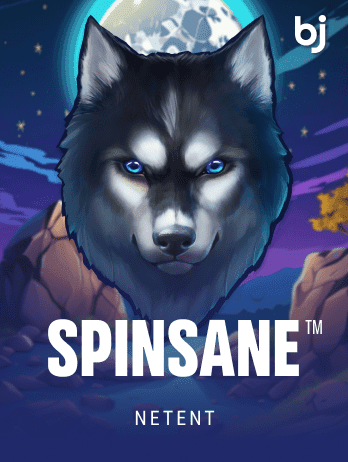 Spinsane™ icon